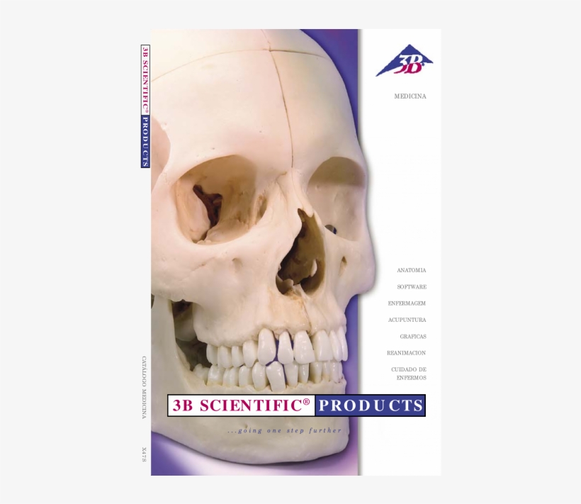 3b Scientific, transparent png #7626150