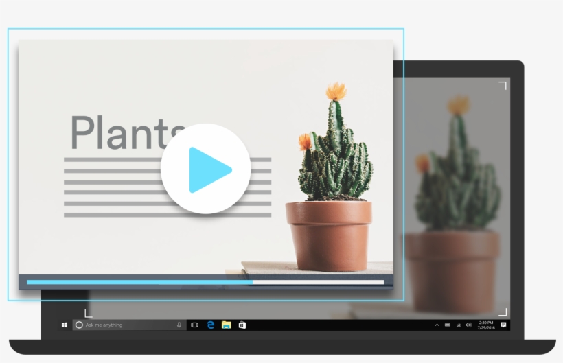 Screen Recorder For Windows - Houseplant, transparent png #7628132