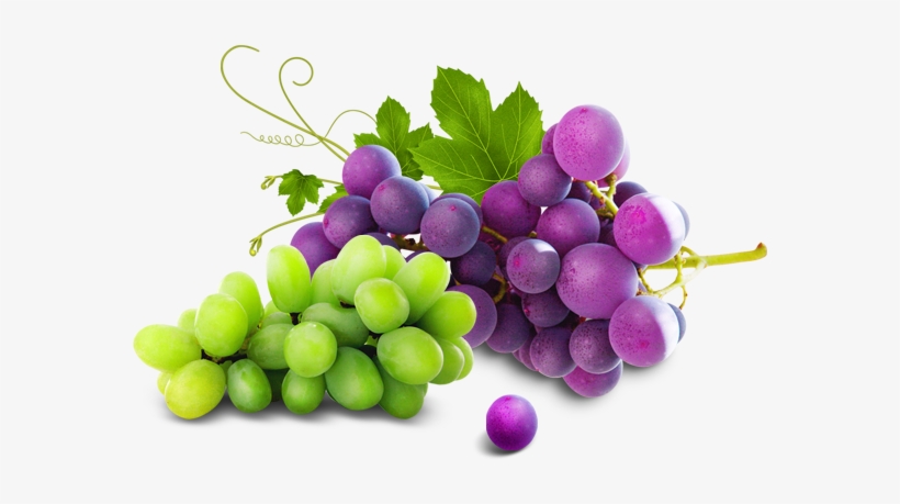Red Wine Juice Grapes - Grape, transparent png #7629547
