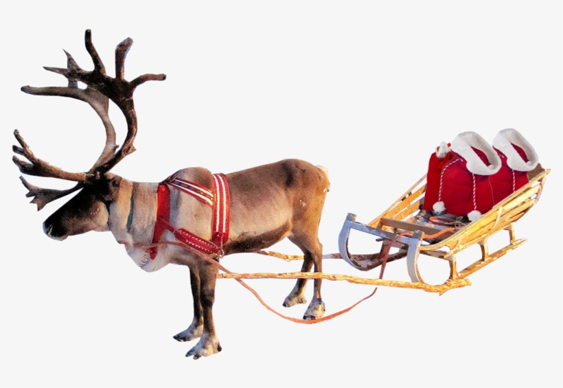Santa Sleigh Png Clipart - Christmas Reindeer Transparent Background, transparent png #7631510