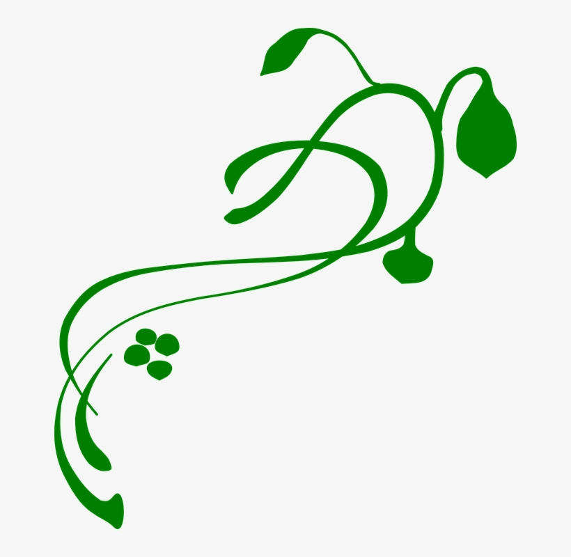 Flourish Clipart Vine - Green Vines Clip Art, transparent png #7632783