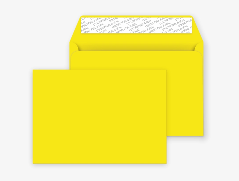 Colorfulness, transparent png #7632819