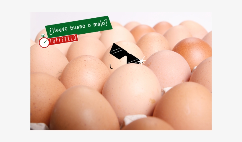 Aunque Aún No Estéis Familiarizados Con La Actividad - Egg, transparent png #7634107