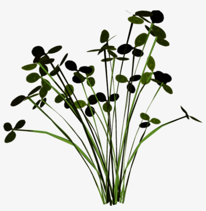 Grass Groundcover Scenery Terrieasterly - Buttercup, transparent png #7635246