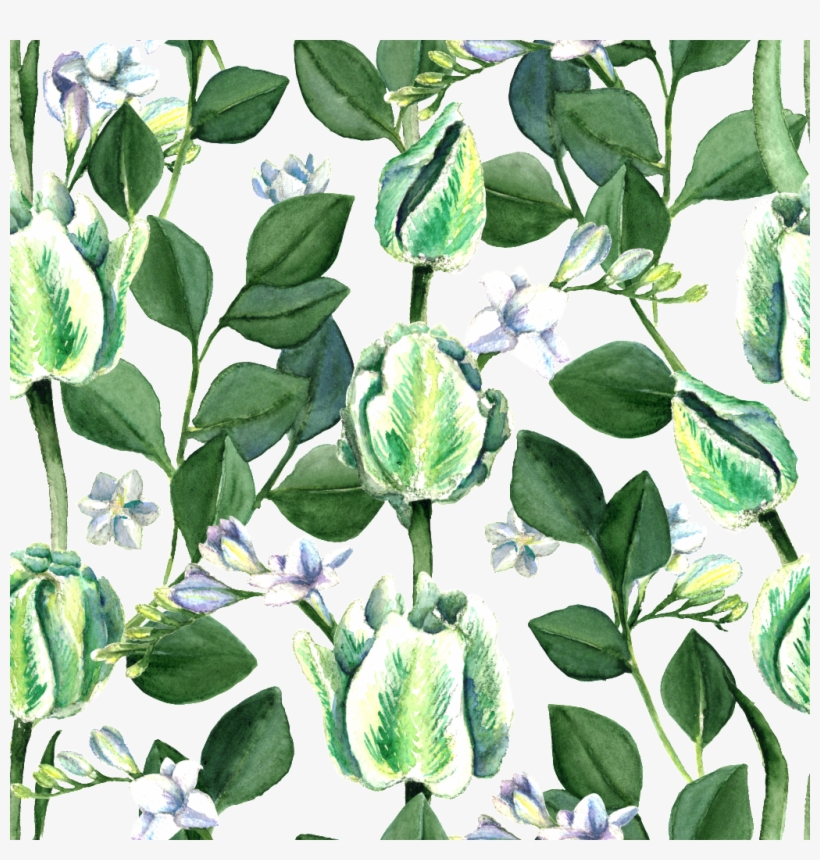 Fresh Style Green Plant Transparent, transparent png #7635626