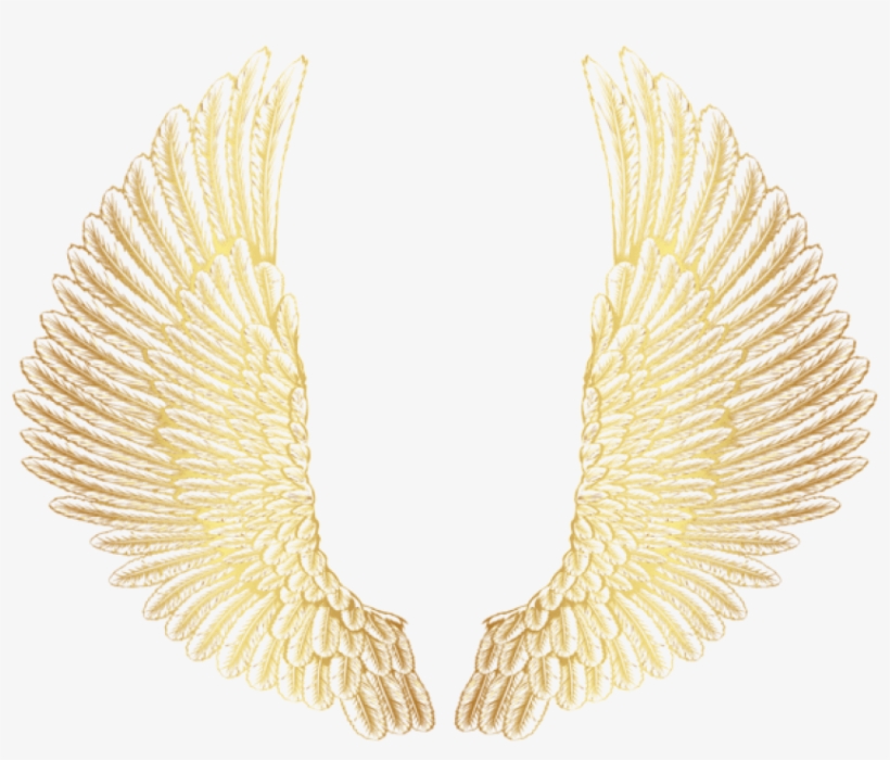 Download Gold Wings Clipart Png Photo - Golden Wings Png, transparent png #7636246