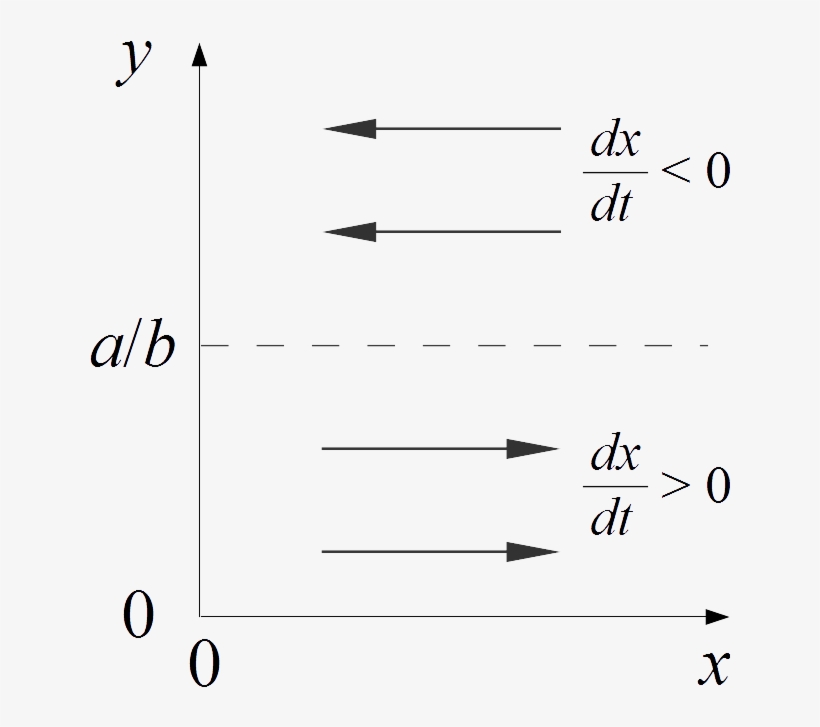 Lotka-volterra Equations Isocline Method 2 - Diagram, transparent png #7636756