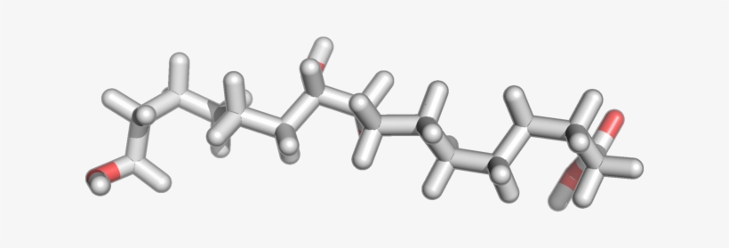 Bmse001280 - Barbed Wire, transparent png #7636884