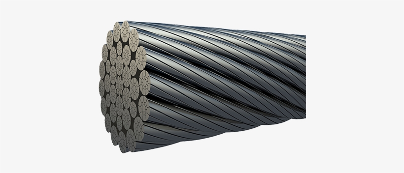 Barbed Wire, transparent png #7637003