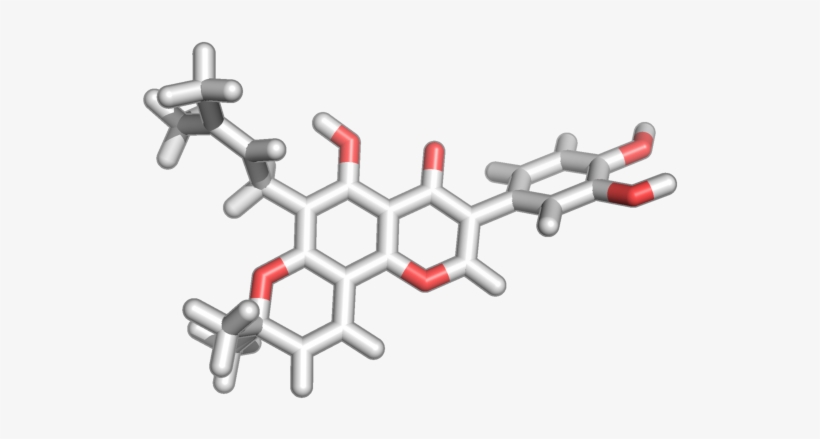 Bmse001284 - Barbed Wire, transparent png #7637136