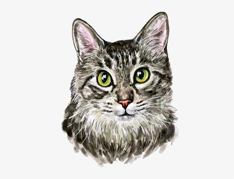 Cat Kitten Watercolor Painting - Cutest Cat Watercolor Painting, transparent png #7638224