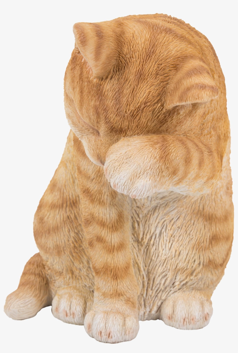 Grizzly Bear, transparent png #7638562