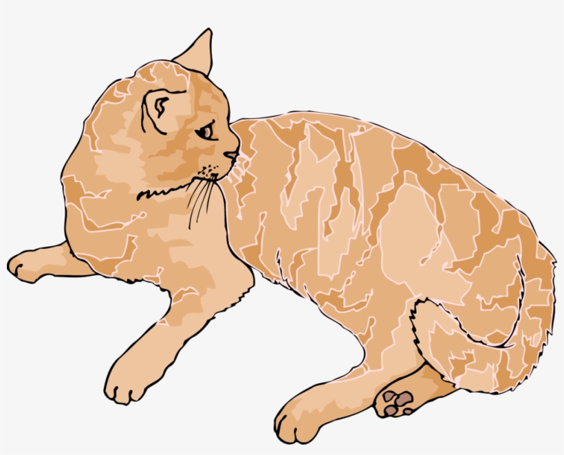 Kitten Whiskers Domestic Short-haired Cat Wildcat Tabby - Cat Laying Down Clipart, transparent png #7638672