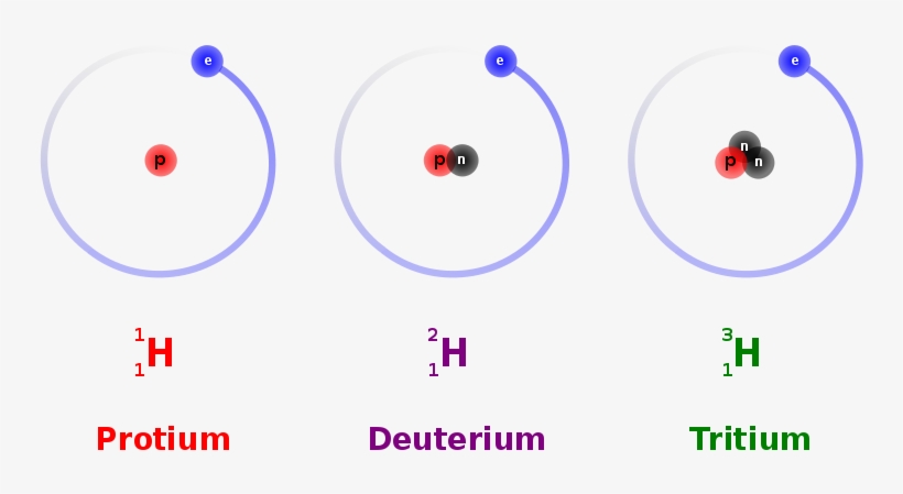 He Was Awarded The 1934 - Isotopes Of Hydrogen, transparent png #7638879