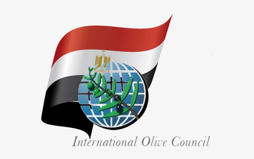 International Olive Council Logo, transparent png #7638903