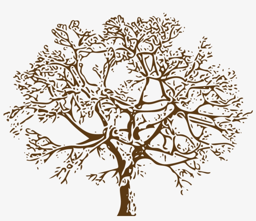 And Have As Much Family Listed On The Tree As Possible - Illustration, transparent png #7639050
