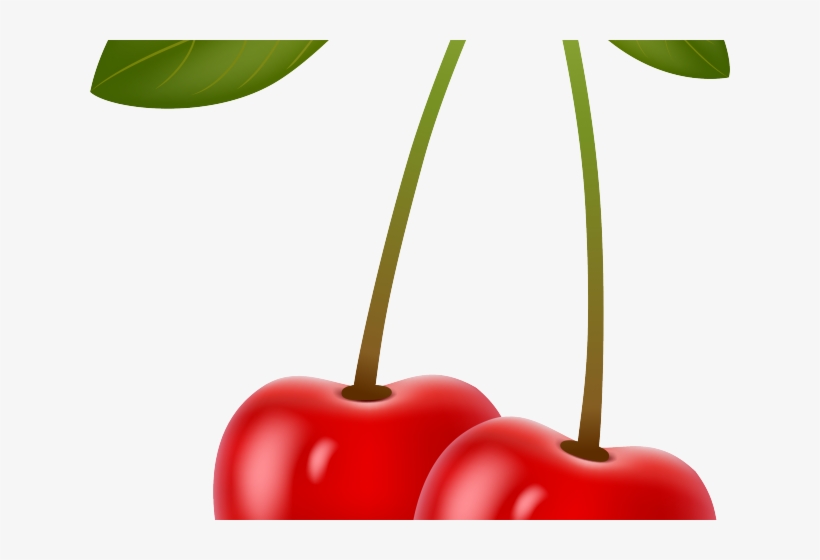 Cherry Clipart Mango Fruit - Cherry Berries, transparent png #7641423