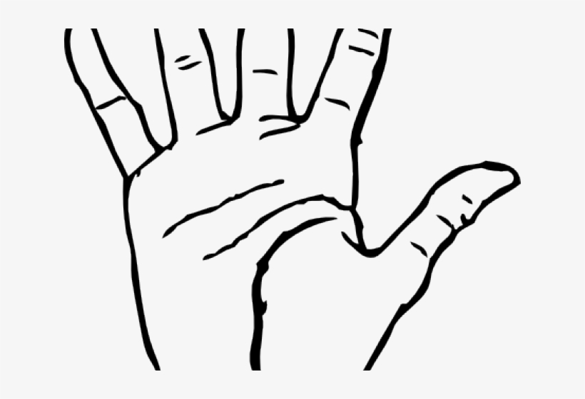 Outline Of Hand - Coloring Picture Of Hand, transparent png #7643591