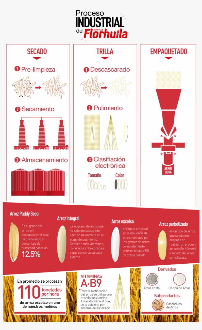 Procesodelarroz - Proceso Industrial Del Arroz, transparent png #7644231