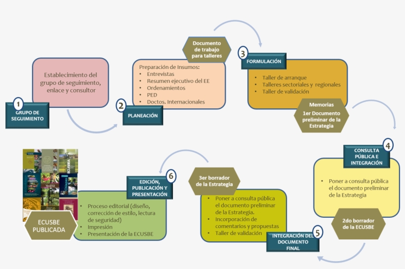 Proceso - Diagram, transparent png #7644708