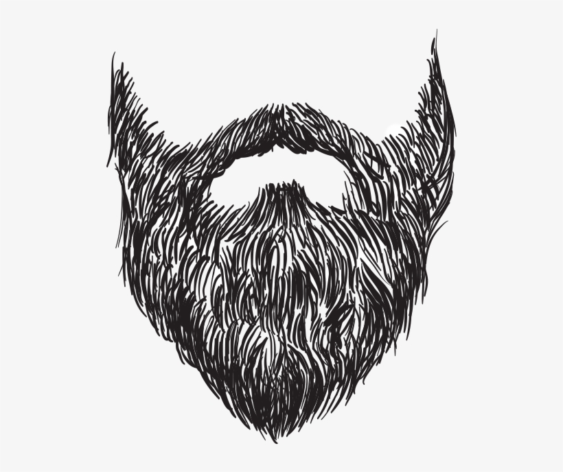 Beard - Sketch, transparent png #7645117