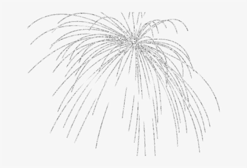 White Clipart Firework - Sketch, transparent png #7645211