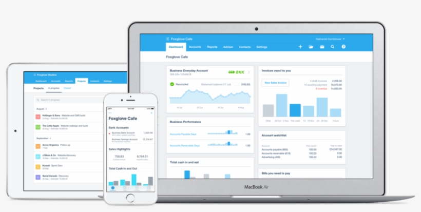 Beautiful Accounting Software - Accounting - Free Transparent PNG ...
