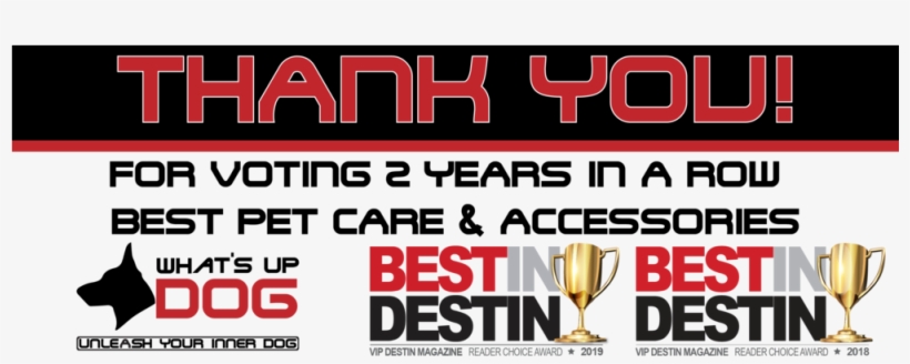 Dog Cat Christmas - Matssoft, transparent png #7646219