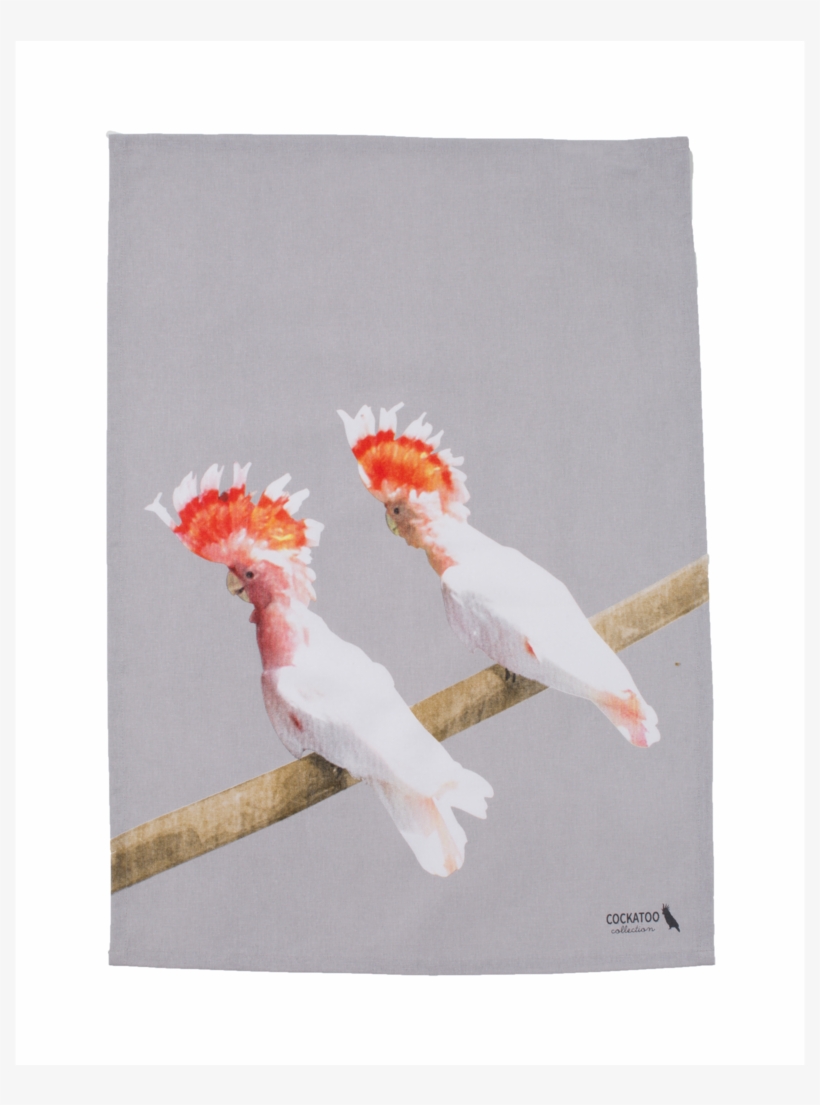 Cockatoo Friends Tea Towel Australiana Gift By Cockatoo - Cockatiel, transparent png #7647138