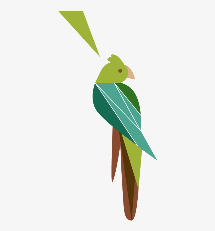 Sidebar Cockatoo - Parakeet, transparent png #7647551
