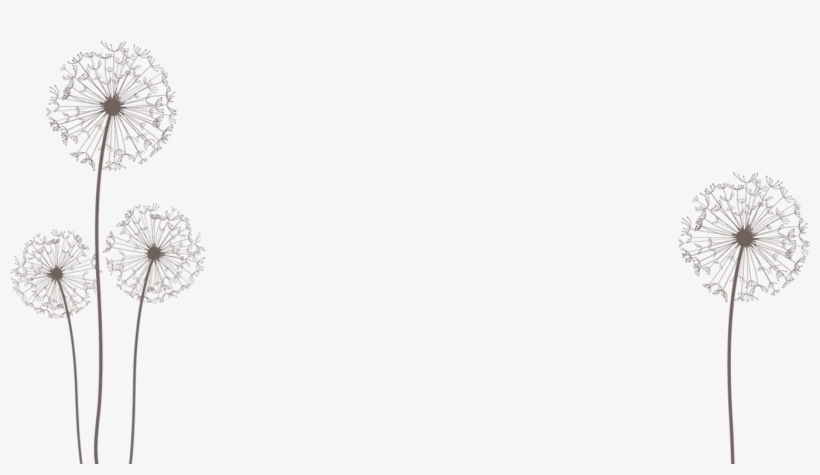 Png By Dragonart Festival Urlaub Pinterest - Dandelion, transparent png #7647635