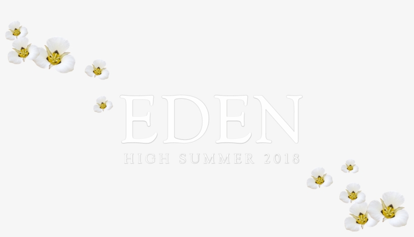 Eden Web Title Copy 35fcdca7 84f0 47df Ab98 B33182b06da8 - Camomile, transparent png #7647761