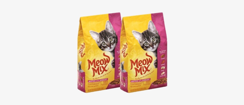 Kitten, transparent png #7648197