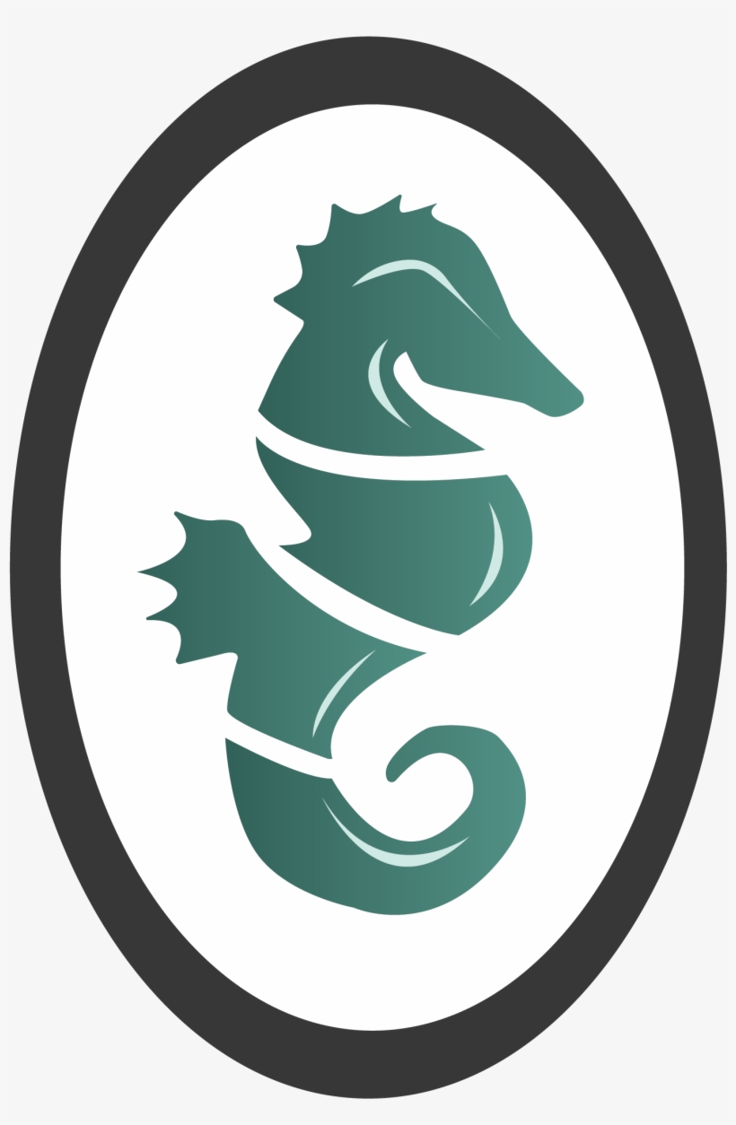 Seahorse Png-01 - Northern Seahorse, transparent png #7648871