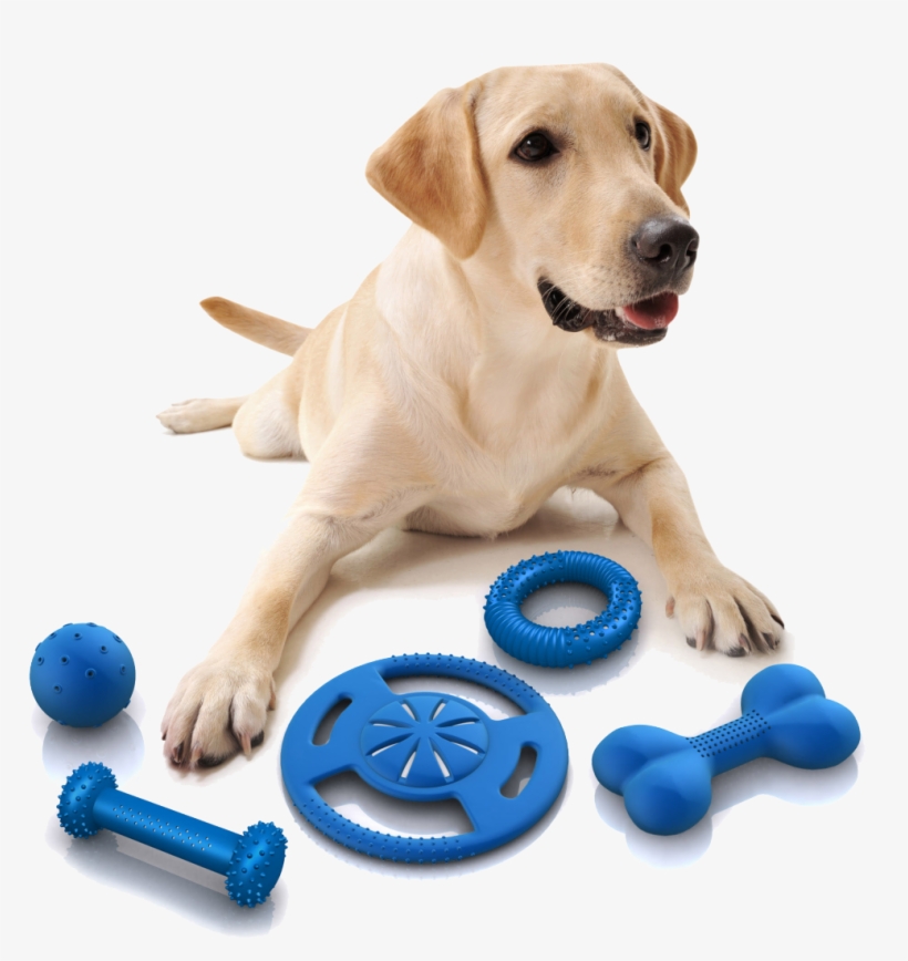 Dog Toy Png - Đồ Chơi Cho Chó, transparent png #7649414