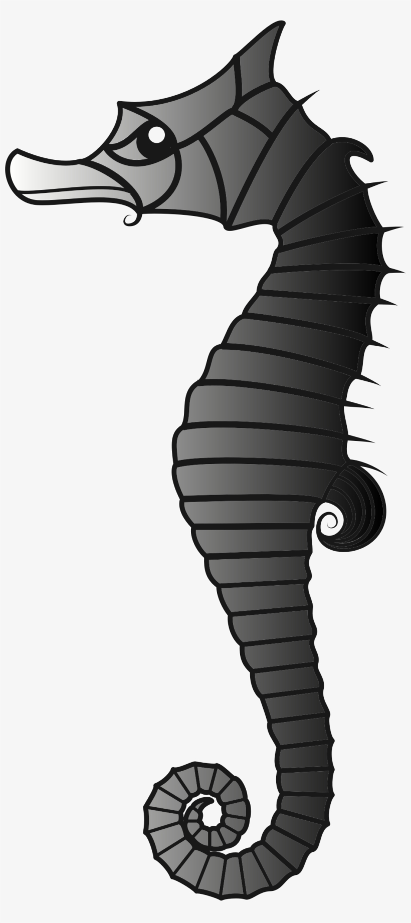 Ray Clipart Seahorse - Illustration, transparent png #7649522
