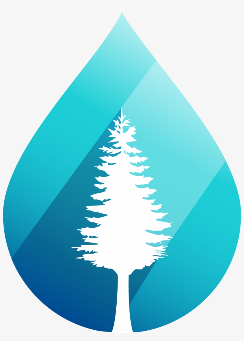 Wetspots - Org - Christmas Tree, transparent png #7649685