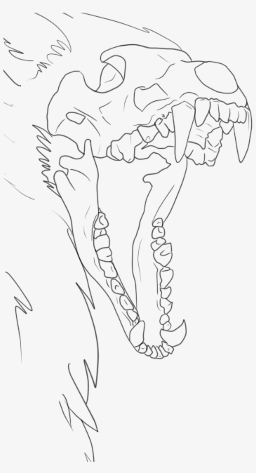 Wolf Skull - Flipped - 1234574543, transparent png #7654875