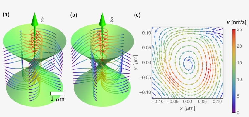 Photokinetic Forces In Circularly Polarized Optical - Circle, transparent png #7656866