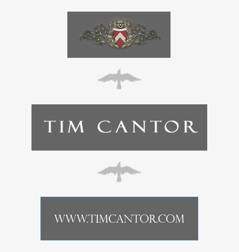 Meet The Artist, Tim Cantor - Air Force, transparent png #7657383