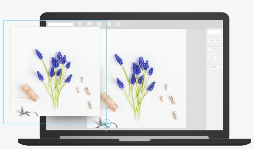 Available On - - English Lavender, transparent png #7657944