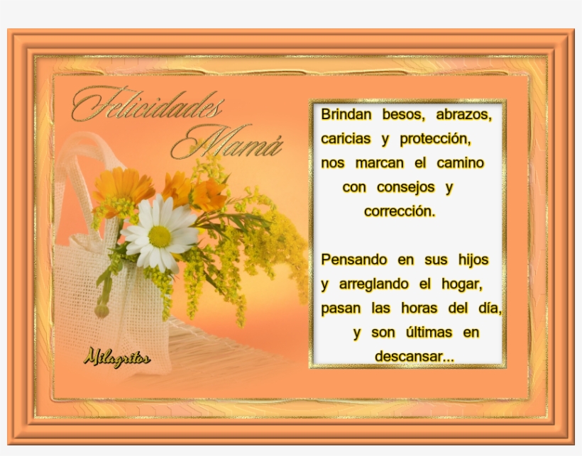 Mvbnztj - African Daisy, transparent png #7658047