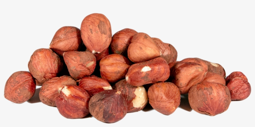 Hazelnuts, Barcelona, Whole, Raw - Hazelnut, transparent png #7659380
