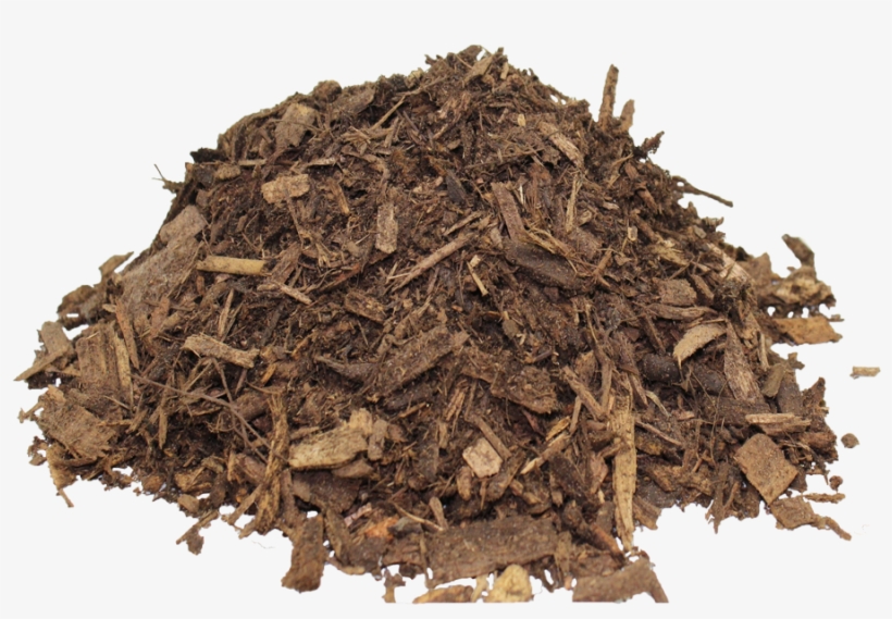 Ground Cover - Nilgiri Tea, transparent png #7660475