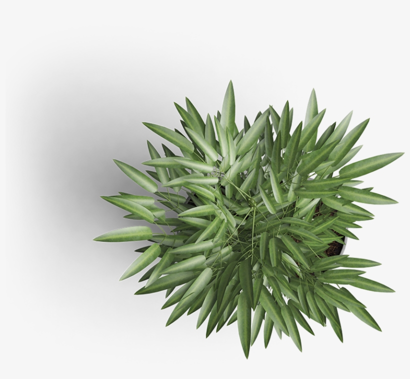 Some Of Our Clients - Logo, transparent png #7660635