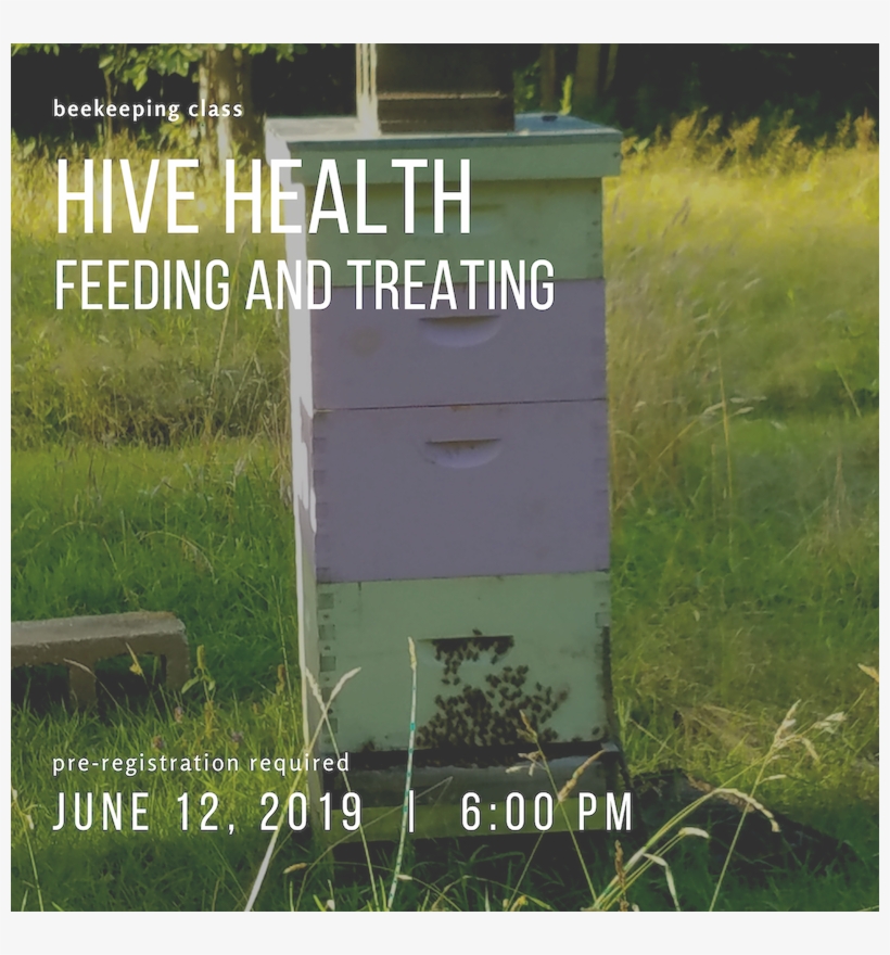 Keeping Hives Healthy Masterson's Garden Center, Inc - Grass, transparent png #7660832