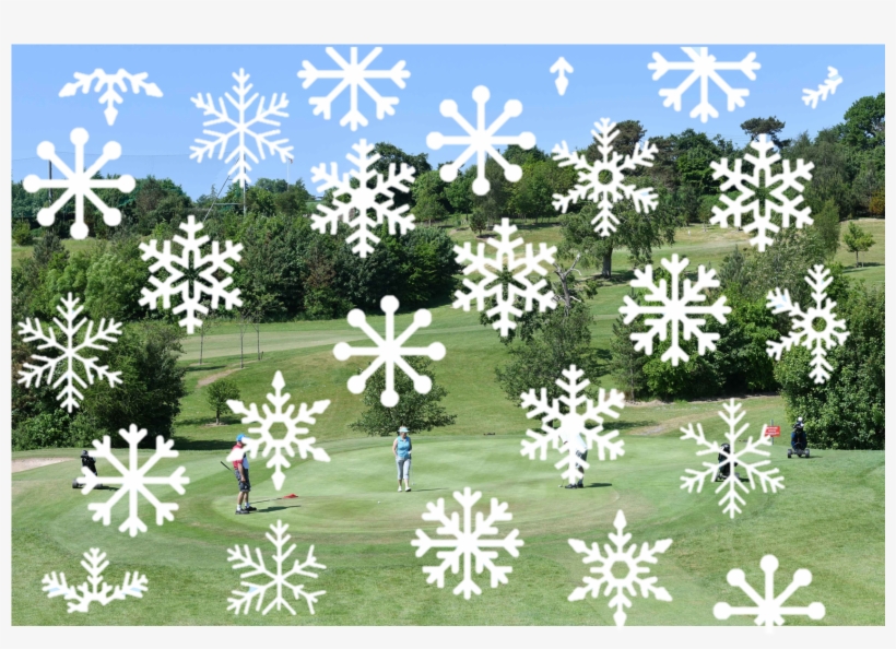 Wacky Winter Rate - Jasmine, transparent png #7661122