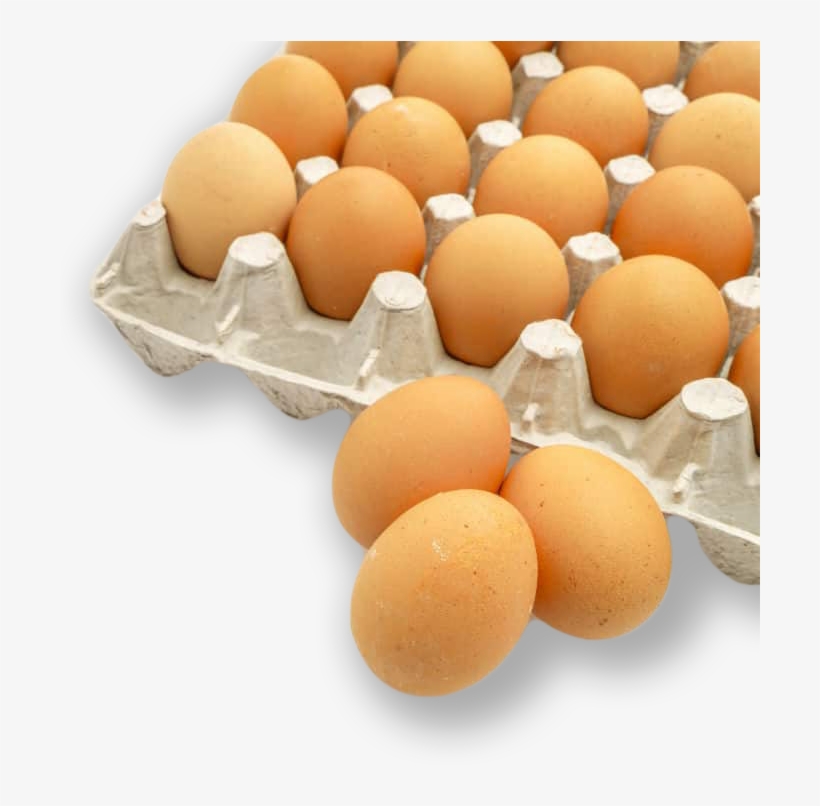 10 Egg Cartons, transparent png #7661872