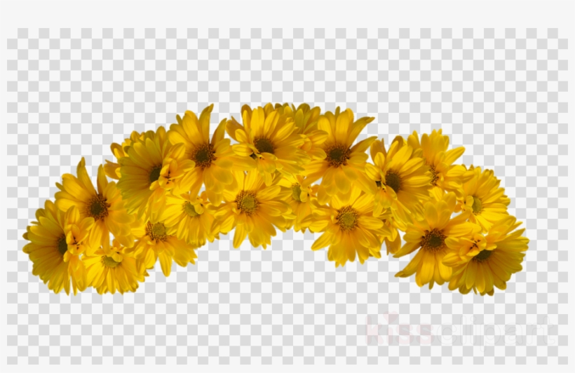 Transparent Flower Crowns - Yellow Flower Crown Transparent, transparent png #7661967