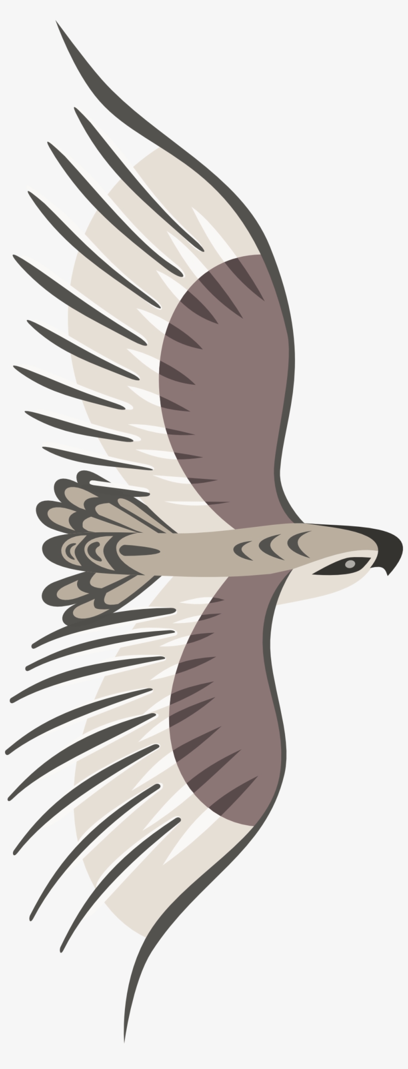 Golden Eagle Goldeneagle By Rones 999px 295 - Bird Top View Png, transparent png #7662645